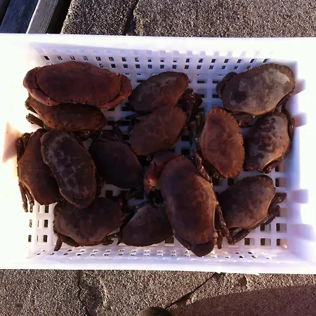 Idyllisk Sørlandshus Feriehus Risør