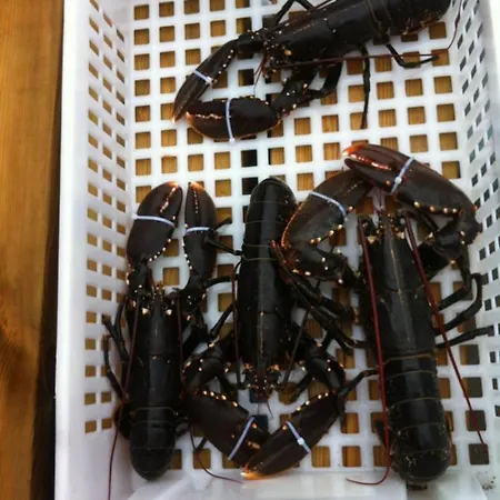 Idyllisk Sorlandshus * Risør