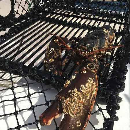 Idyllisk Sørlandshus Risør