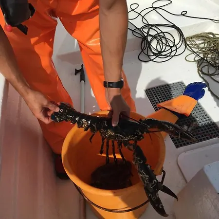 Idyllisk Sorlandshus Holiday home Risor