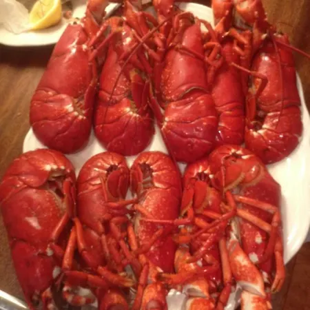 Idyllisk Sorlandshus Holiday home Risor