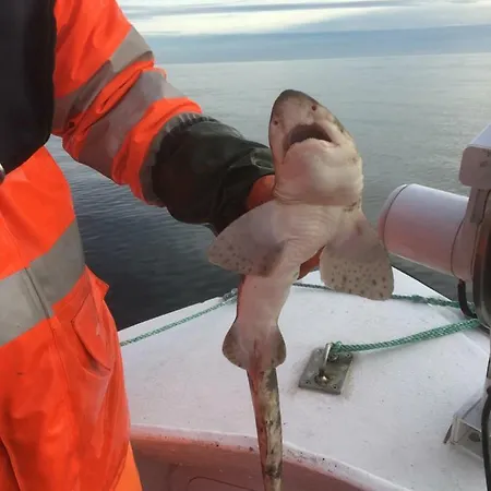 Idyllisk Sorlandshus *